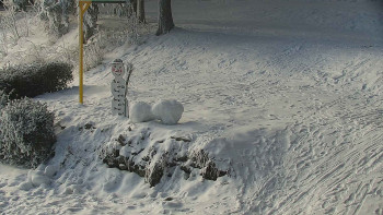 Chata Myslivna SKP Olomouc