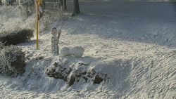 Běžecký lyžařský areál Nová Ves - horní část