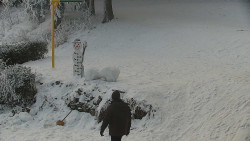 Běžecký lyžařský areál Nová Ves - horní část