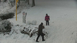 Běžecký lyžařský areál Nová Ves - horní část