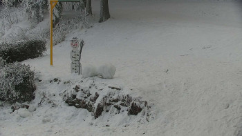 Chata Myslivna SKP Olomouc