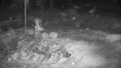 Běžecký lyžařský areál Nová Ves - horní část