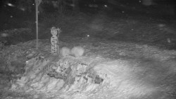 Běžecký lyžařský areál Nová Ves - horní část