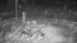 Běžecký lyžařský areál Nová Ves - horní část