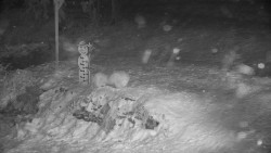 Běžecký lyžařský areál Nová Ves - horní část