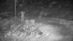 Běžecký lyžařský areál Nová Ves - horní část