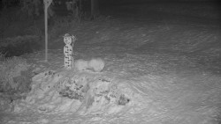 Běžecký lyžařský areál Nová Ves - horní část