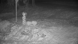 Běžecký lyžařský areál Nová Ves - horní část