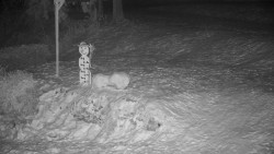 Běžecký lyžařský areál Nová Ves - horní část