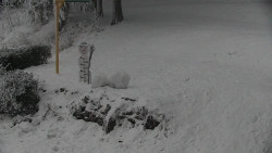 Běžecký lyžařský areál Nová Ves - horní část