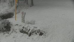 Běžecký lyžařský areál Nová Ves - horní část