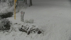 Běžecký lyžařský areál Nová Ves - horní část