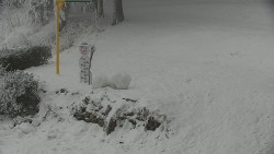 Běžecký lyžařský areál Nová Ves - horní část