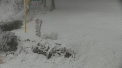 Běžecký lyžařský areál Nová Ves - horní část