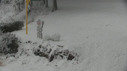 Běžecký lyžařský areál Nová Ves - horní část