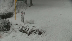 Běžecký lyžařský areál Nová Ves - horní část