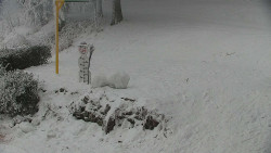 Běžecký lyžařský areál Nová Ves - horní část