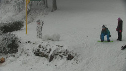 Běžecký lyžařský areál Nová Ves - horní část