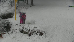 Běžecký lyžařský areál Nová Ves - horní část