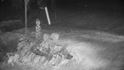 Běžecký lyžařský areál Nová Ves - horní část