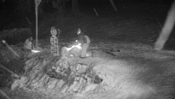 Běžecký lyžařský areál Nová Ves - horní část