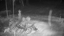 Běžecký lyžařský areál Nová Ves - horní část