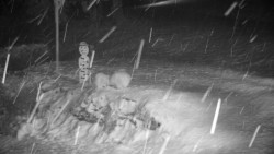 Běžecký lyžařský areál Nová Ves - horní část