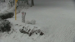 Běžecký lyžařský areál Nová Ves - horní část