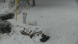 Běžecký lyžařský areál Nová Ves - horní část