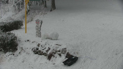 Běžecký lyžařský areál Nová Ves - horní část