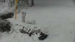 Běžecký lyžařský areál Nová Ves - horní část