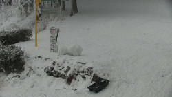 Běžecký lyžařský areál Nová Ves - horní část