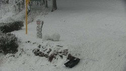 Běžecký lyžařský areál Nová Ves - horní část