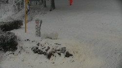 Běžecký lyžařský areál Nová Ves - horní část