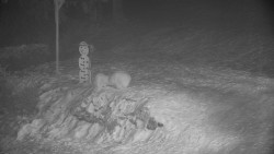 Běžecký lyžařský areál Nová Ves - horní část