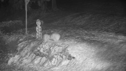 Běžecký lyžařský areál Nová Ves - horní část