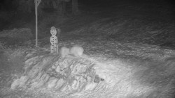 Běžecký lyžařský areál Nová Ves - horní část