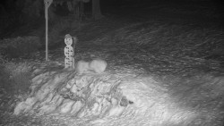 Běžecký lyžařský areál Nová Ves - horní část