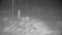 Běžecký lyžařský areál Nová Ves - horní část