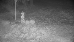 Běžecký lyžařský areál Nová Ves - horní část