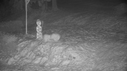 Běžecký lyžařský areál Nová Ves - horní část