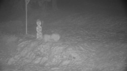 Běžecký lyžařský areál Nová Ves - horní část