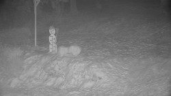 Běžecký lyžařský areál Nová Ves - horní část