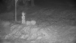 Běžecký lyžařský areál Nová Ves - horní část