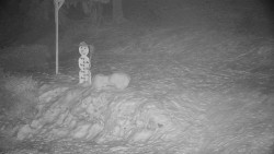 Běžecký lyžařský areál Nová Ves - horní část