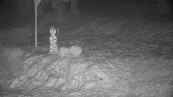 Běžecký lyžařský areál Nová Ves - horní část