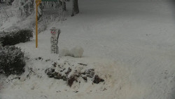 Běžecký lyžařský areál Nová Ves - horní část