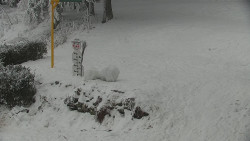 Běžecký lyžařský areál Nová Ves - horní část