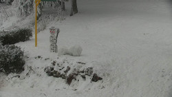 Běžecký lyžařský areál Nová Ves - horní část