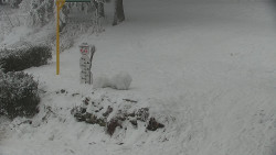 Běžecký lyžařský areál Nová Ves - horní část